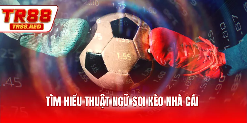 Tìm hiểu thuật ngữ soi kèo nhà cái
